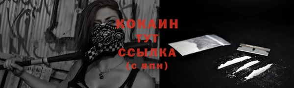 apvp Кинешма