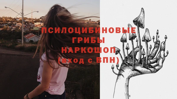 МДПВ Киреевск