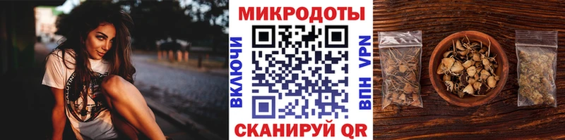 Купить где  Горно-Алтайск  Галлюциногенные грибы Psilocybe 